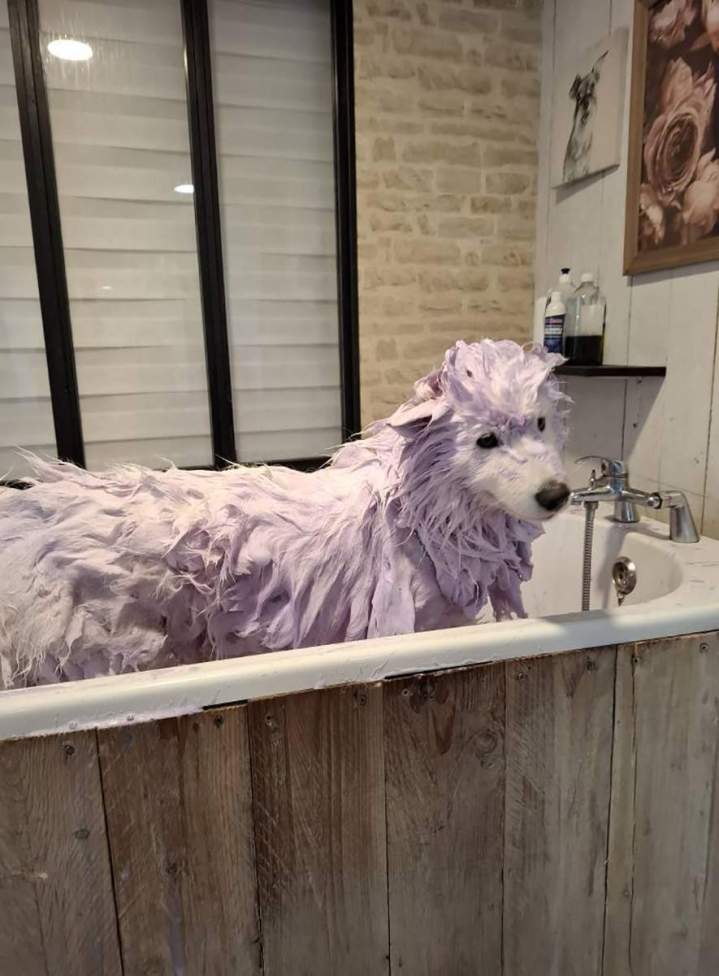 Nettoyage complet avec des produits doux Louargat