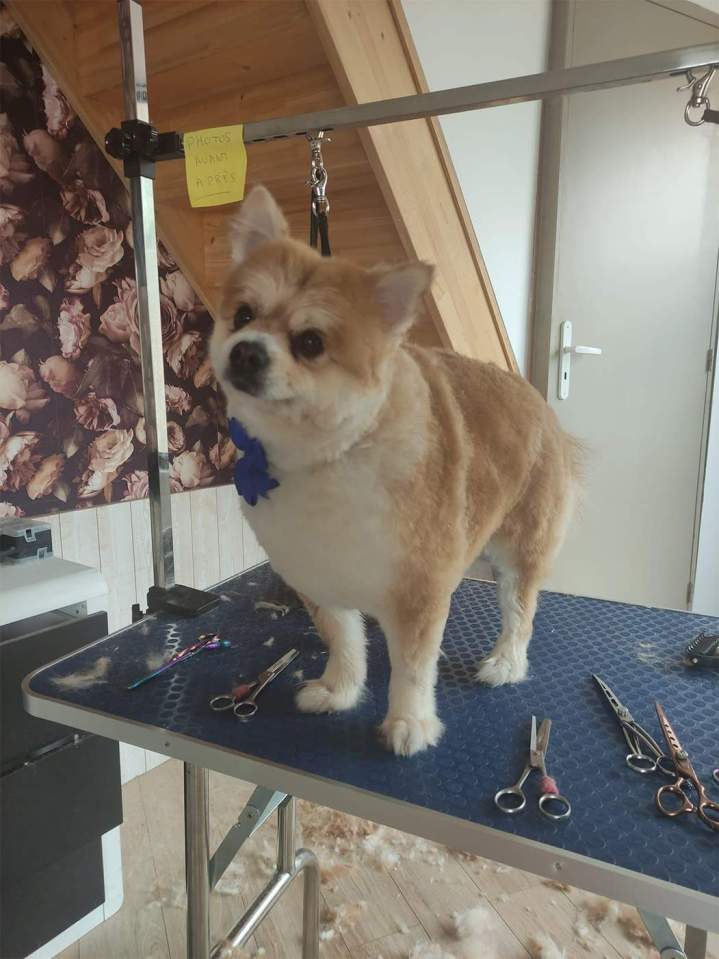 Coupe boo finie Louargat